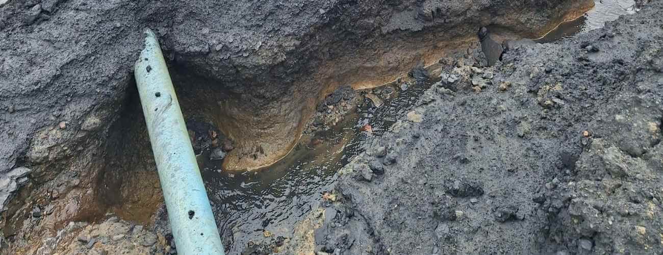 Stronger orads and less dust with Terrabind