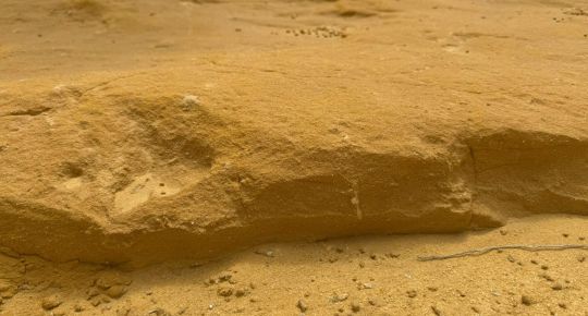 What is biocementation and how does it work on mine roads?